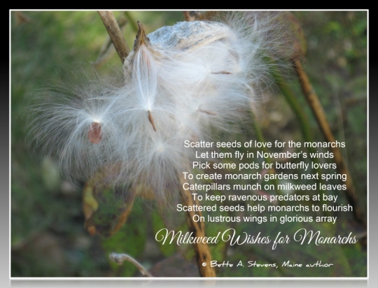 Milkweed Wishes for Monarchs POEM bas 2015